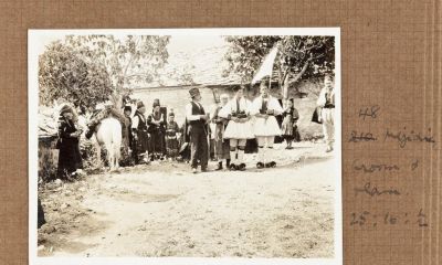 Κεφαλόβρυσο Γαμπρός και κουμπάρος, photo Margaret Hasluck