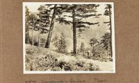 Όνομα αρχείου=Samarina_to_Briaza___trees.jpg
Μέγεθος αρχείου=187KB
Διαστάσεις=1024x615
Ημερομηνία προσθήκης=%727 %11, %2013 Samarina_to_Briaza___trees.jpg
