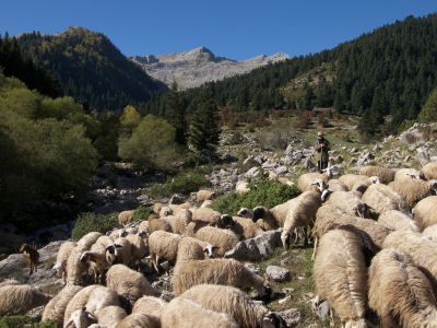 Κάντε κλικ για να δείτε την εικόνα σε πλήρες μέγεθος