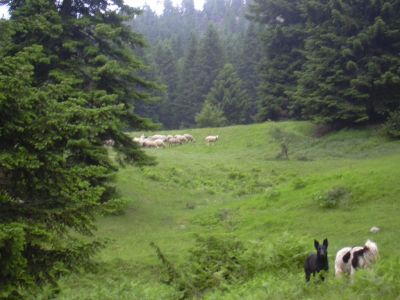 Κάντε κλικ για να δείτε την εικόνα σε πλήρες μέγεθος