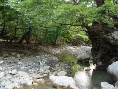 Κάντε κλικ για να δείτε την εικόνα σε πλήρες μέγεθος