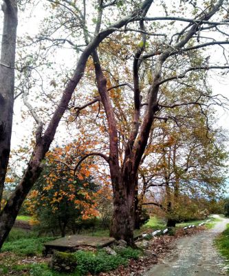 Κάντε κλικ για να δείτε την εικόνα σε πλήρες μέγεθος