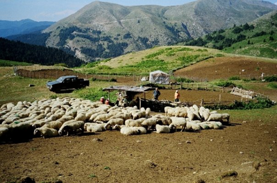 Κάντε κλικ για να δείτε την εικόνα σε πλήρες μέγεθος