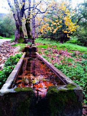 Κάντε κλικ για να δείτε την εικόνα σε πλήρες μέγεθος