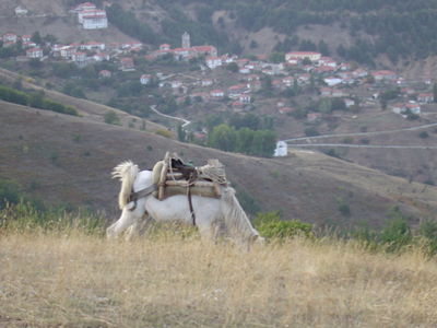 Κάντε κλικ για να δείτε την εικόνα σε πλήρες μέγεθος