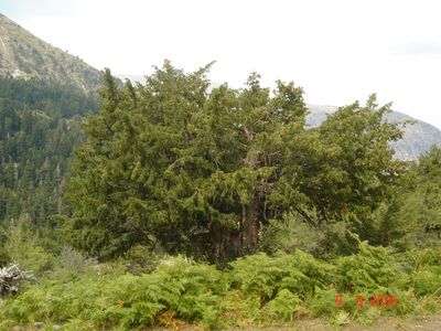 Κάντε κλικ για να δείτε την εικόνα σε πλήρες μέγεθος