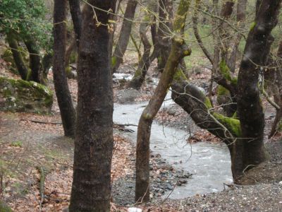 Κάντε κλικ για να δείτε την εικόνα σε πλήρες μέγεθος