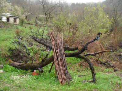 Κάντε κλικ για να δείτε την εικόνα σε πλήρες μέγεθος