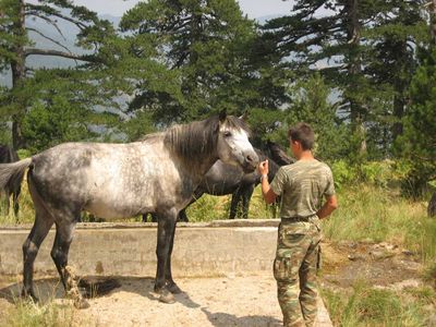 Κάντε κλικ για να δείτε την εικόνα σε πλήρες μέγεθος