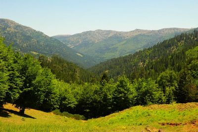 Κάντε κλικ για να δείτε την εικόνα σε πλήρες μέγεθος