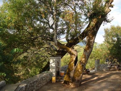 Κάντε κλικ για να δείτε την εικόνα σε πλήρες μέγεθος