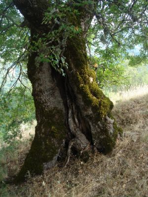 Κάντε κλικ για να δείτε την εικόνα σε πλήρες μέγεθος