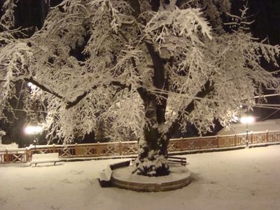 Κάντε κλικ για να δείτε την εικόνα σε πλήρες μέγεθος