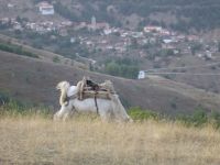 Όνομα αρχείου=DSC00322.JPG
Μέγεθος αρχείου=144KB
Διαστάσεις=640x480
Ημερομηνία προσθήκης=%864 %01, %2007 DSC00322.JPG