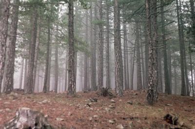 Κάντε κλικ για να δείτε την εικόνα σε πλήρες μέγεθος
