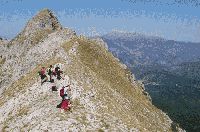 Όνομα αρχείου=korifi smolika.gif
Μέγεθος αρχείου=51KB
Διαστάσεις=450x299
Ημερομηνία προσθήκης=%518 %21, %2006 korifi smolika.gif