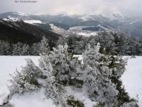 Όνομα αρχείου=Xionismeni Vlasti_2.jpg
Μέγεθος αρχείου=129KB
Διαστάσεις=1024x768
Ημερομηνία προσθήκης=%683 %24, %2006 Xionismeni Vlasti_2.jpg