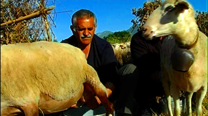 Συρρακιώτες κτηνοτρόφοι. Κάθοδος και Άνοδος