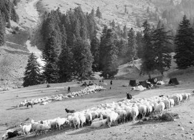 Καταυλισμός Βλάχων Νέγρι Ήπειρος 1975