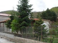 Panagia_28Koutsouphliane29_Trikalon_Paskha_2012_282229.JPG