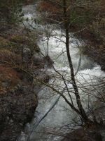 Panagia_28Koutsouphliane29_Trikalon_Paskha_2012_282629.JPG